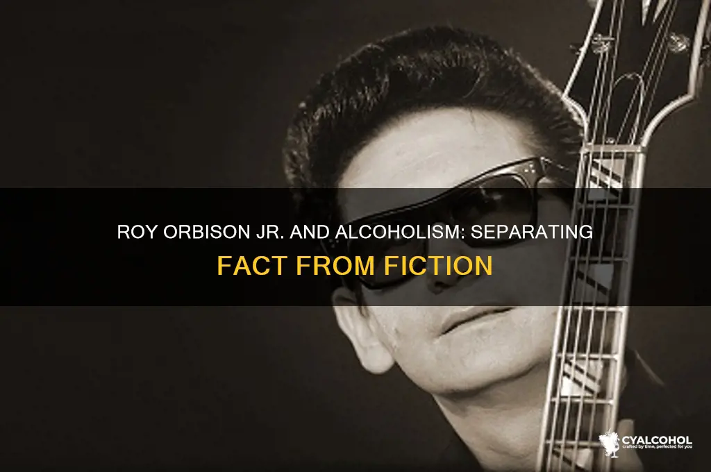 is roy orbison jr an alcoholic