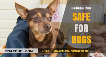 Is Rubbing Alcohol Safe for Dogs? Risks and Alternatives Explained