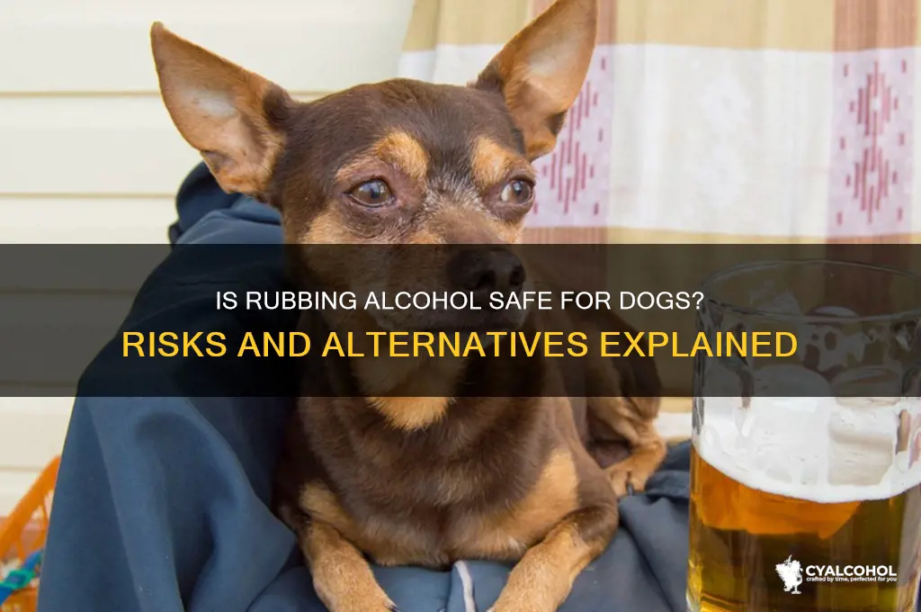 is rubbin alcohol safe for dogs