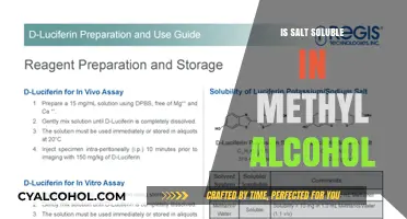 Salt Solubility in Methyl Alcohol: Exploring Chemical Compatibility