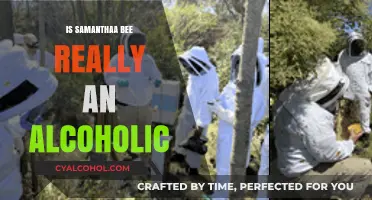 Samantha Bee and Alcoholism: Separating Fact from Fiction