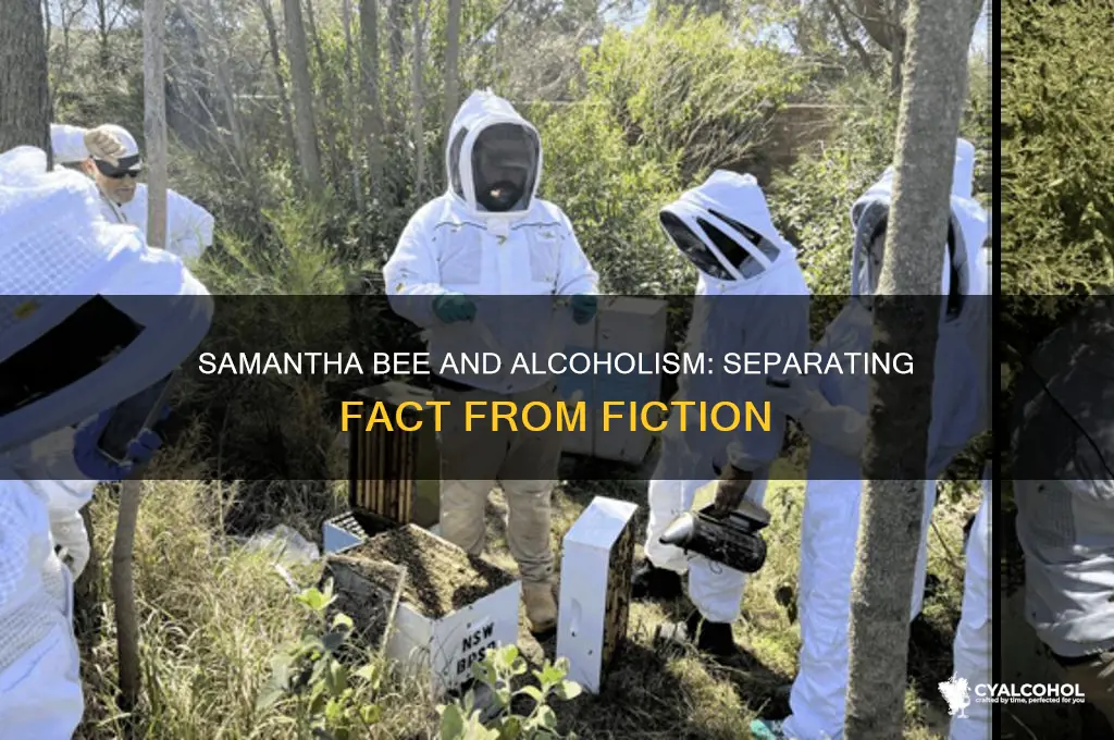 is samanthaa bee really an alcoholic