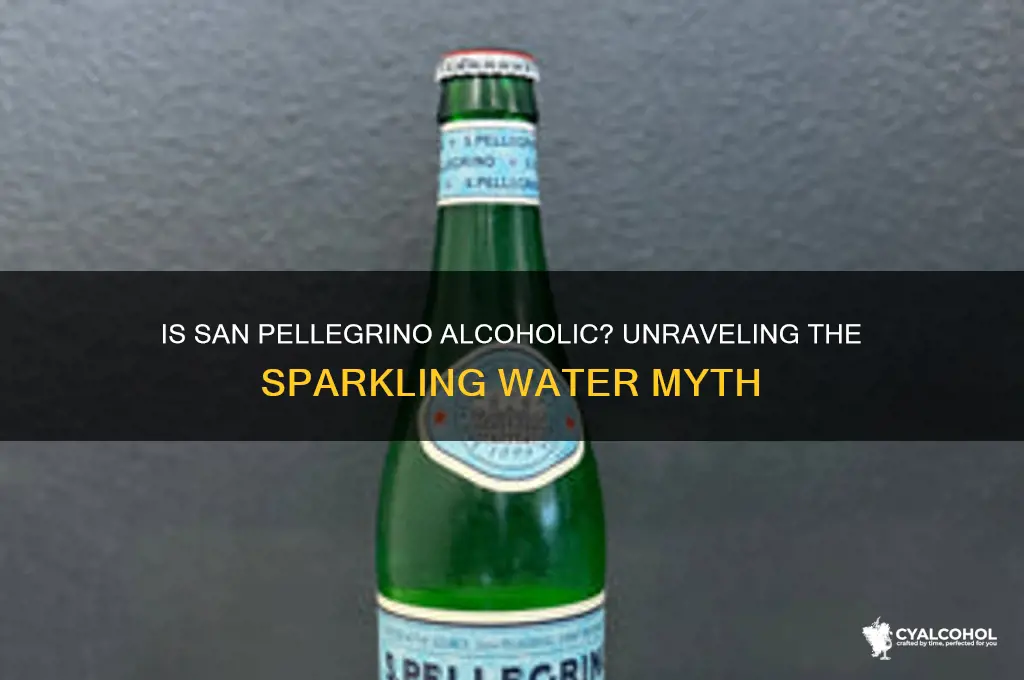 is san pellegrino an alcoholic beverage