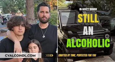 Scott Disick's Sobriety Journey: Is He Still Battling Alcoholism?