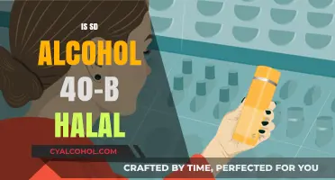 Is SD Alcohol 40-B Halal? Understanding Its Sources and Uses