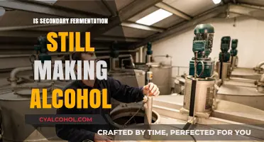 Secondary Fermentation: Does It Continue Alcohol Production in Brewing?
