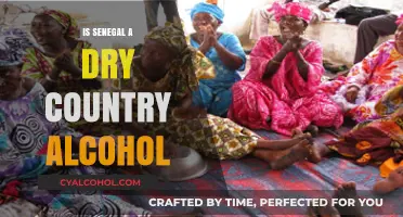 Senegal's Alcohol Scene: Exploring the Country's Drinking Culture and Laws