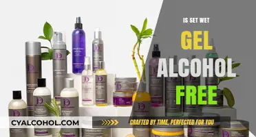 Is Set Wet Gel Alcohol-Free? Unveiling the Ingredients Truth