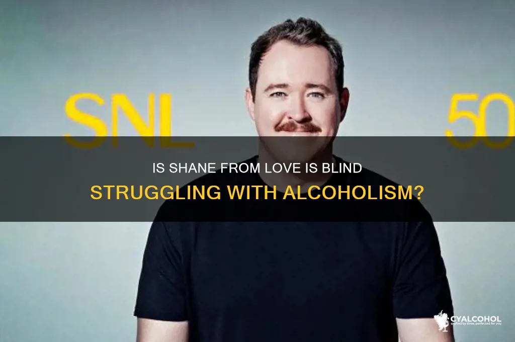 is shane from love is blind an alcoholic