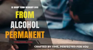Alcohol-Induced Short-Term Memory Loss: Temporary or Permanent Damage?