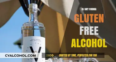 Is Sky Vodka Gluten-Free? A Guide to Safe Drinking