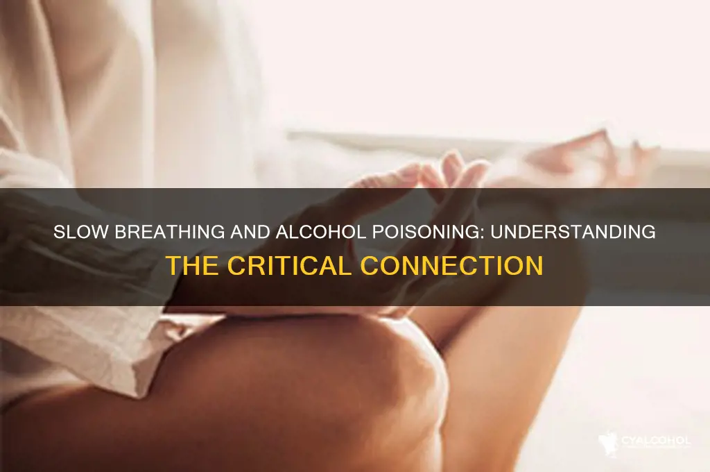 is slow breathing a symptom of alcohol poisoning