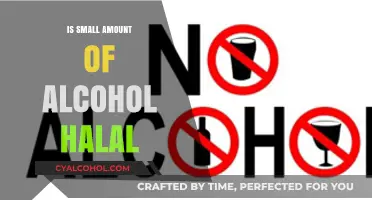 Is a Small Amount of Alcohol Halal? Exploring Islamic Perspectives