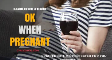 Pregnancy and Alcohol: Is a Small Amount Safe?