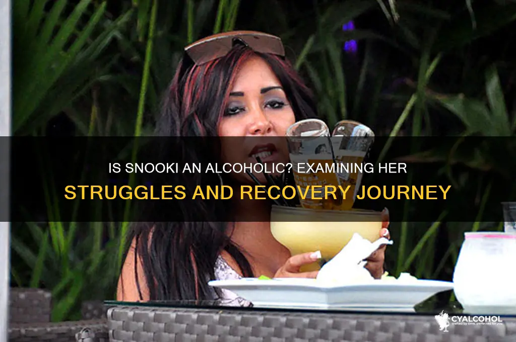 is snooki an alcoholic
