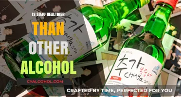 Is Soju a Healthier Alcohol Choice? Exploring Its Benefits and Drawbacks