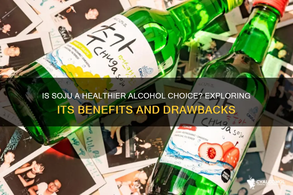 is soju healthier than other alcohol