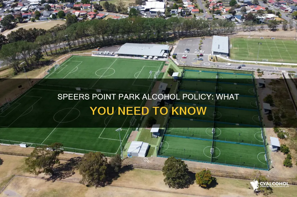 is speers point park alcohol free