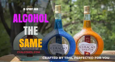 Spirit vs. Alcohol: Understanding the Key Differences and Similarities