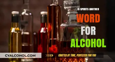 Are Spirits and Alcohol Synonyms? Unraveling the Linguistic Connection