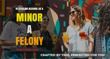 Stealing Alcohol as a Minor: Felony Charges and Legal Consequences