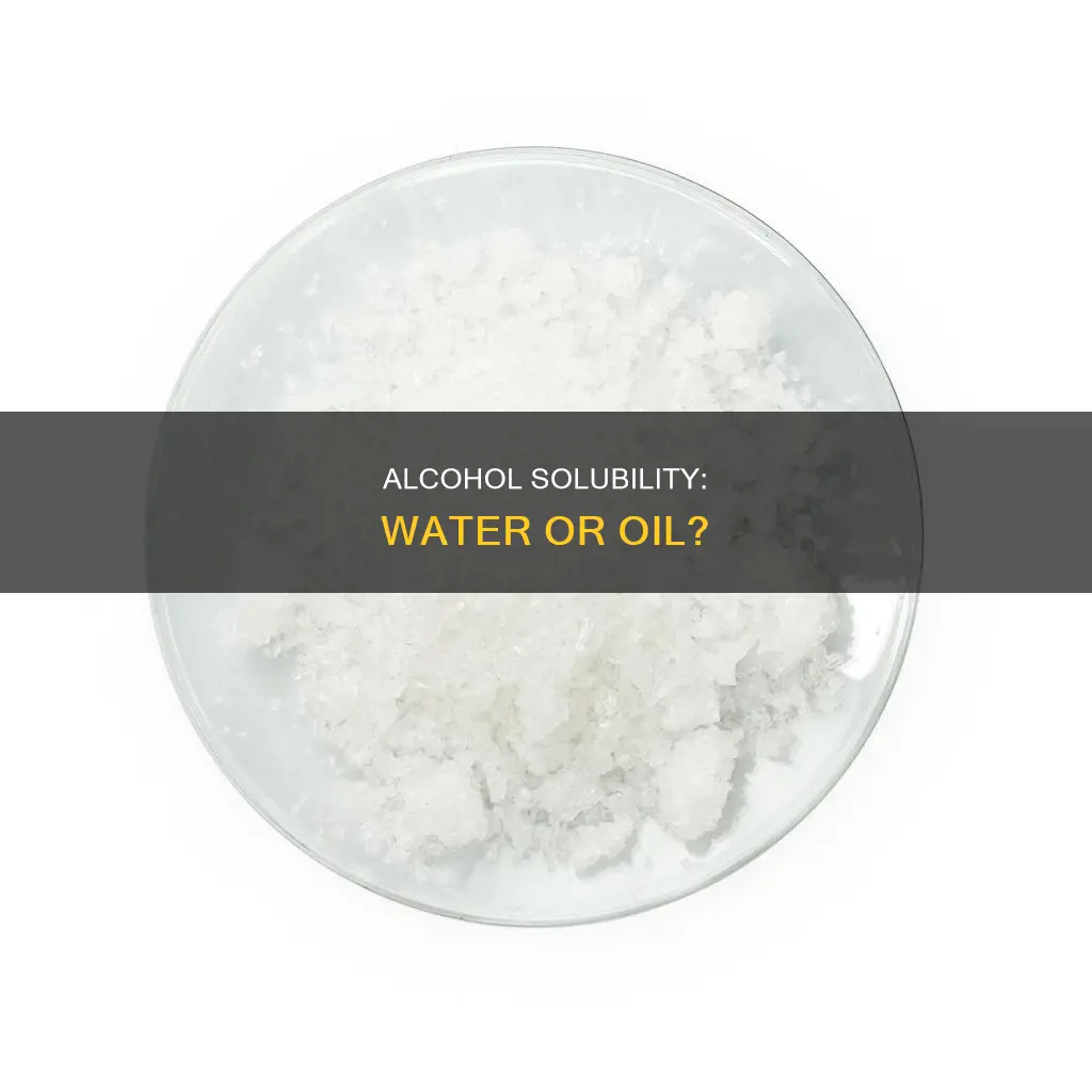 is stearyl alcohol soluble in water or in oil