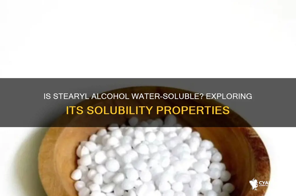 is stearyl alcohol soluble in water