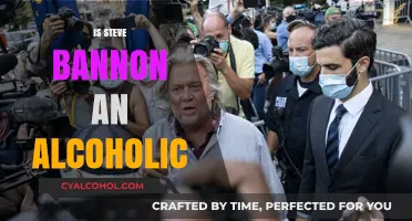 Is Steve Bannon an Alcoholic? Examining the Evidence and Claims