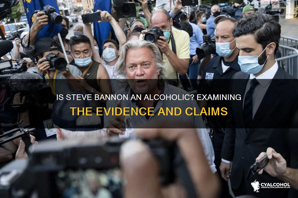 is steve bannon an alcoholic