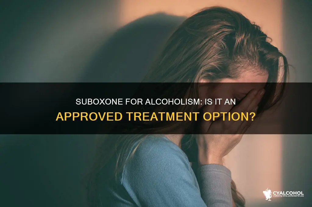 is suboxone medication-assisted treatment approved for alcoholism