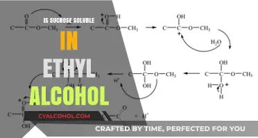 Sucrose Solubility in Ethyl Alcohol: Exploring the Science Behind It