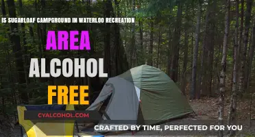 Camping at Sugarloaf: Alcohol-Free Fun
