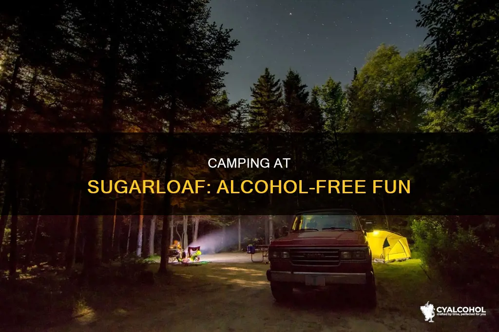 is sugarloaf campground in waterloo recreation area alcohol free
