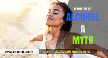 Sweating Out Alcohol: Fact or Fiction? Debunking the Detox Myth