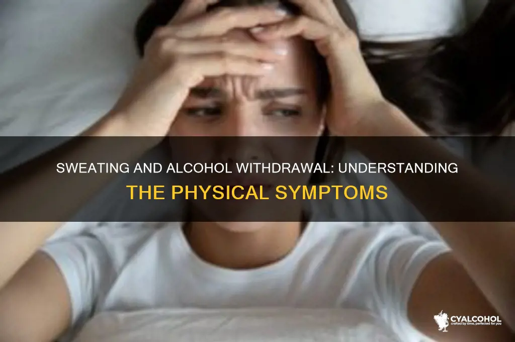 is sweating part of alcohol withdrawal