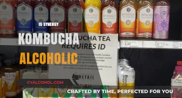 Is Synergy Kombucha Alcoholic? Unveiling the Truth Behind the Buzz