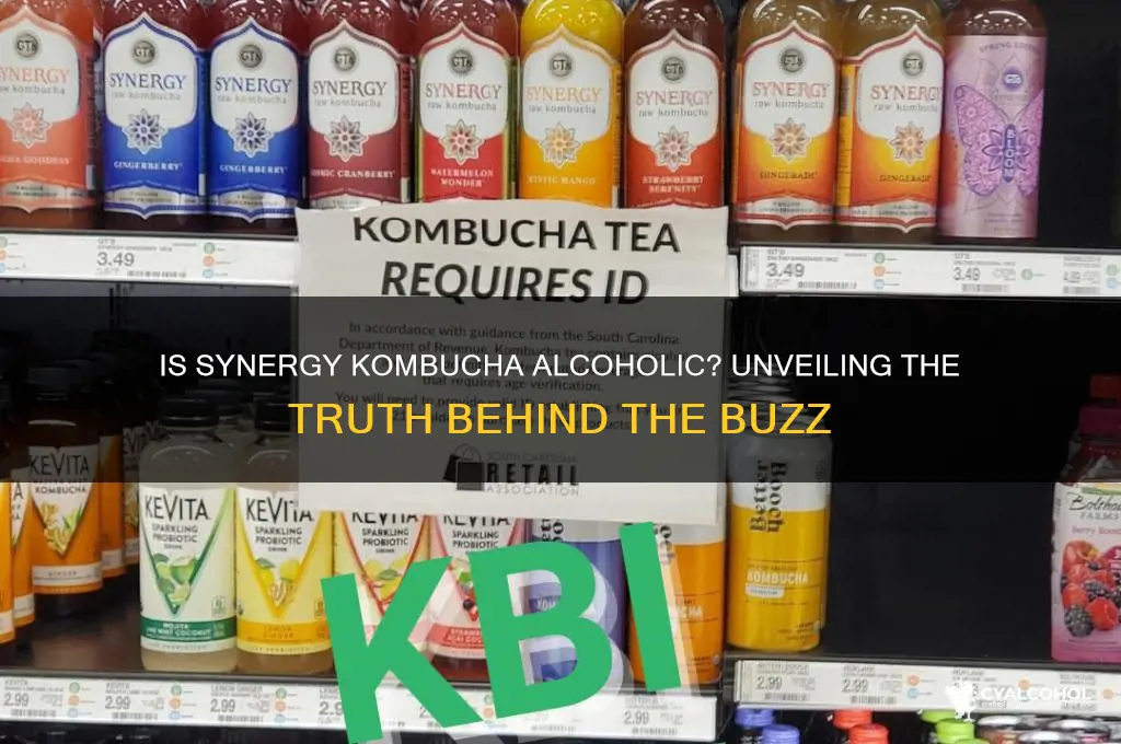 is synergy kombucha alcoholic