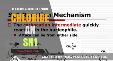 T-Pentyl Alcohol Transformation: SN1 or Not?