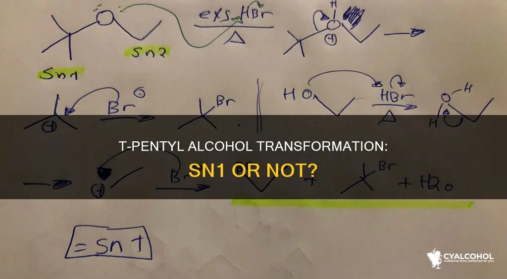 is t-pentyl alcohol to t-pentyl chloride an sn1