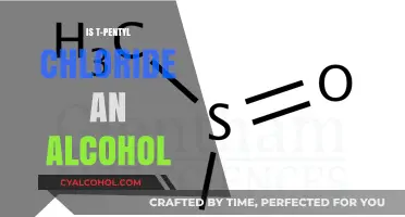 Is T-Pentyl Chloride an Alcohol? Unraveling the Chemical Classification