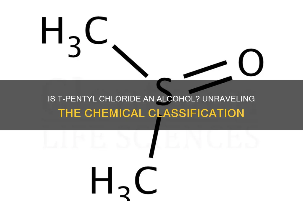 is t-pentyl chloride an alcohol