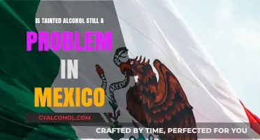 Tainted Alcohol in Mexico: Persistent Risks and Traveler Safety Concerns