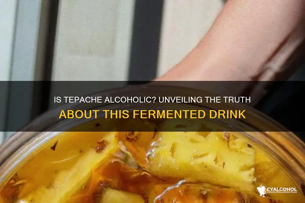 is tepache alcoholic