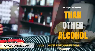 Tequila vs. Other Alcohols: Unique Flavors, Origins, and Effects Explained