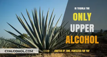 Tequila: The Only Upper Alcohol or Just a Myth?