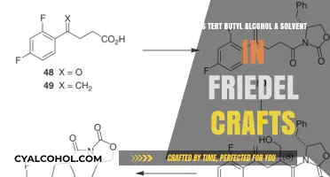 Tert-Butyl Alcohol: A Solvent in Friedel-Crafts Reaction?