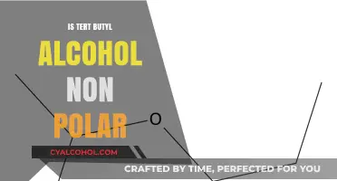 Is Tert-Butyl Alcohol Non-Polar? Exploring Its Chemical Properties
