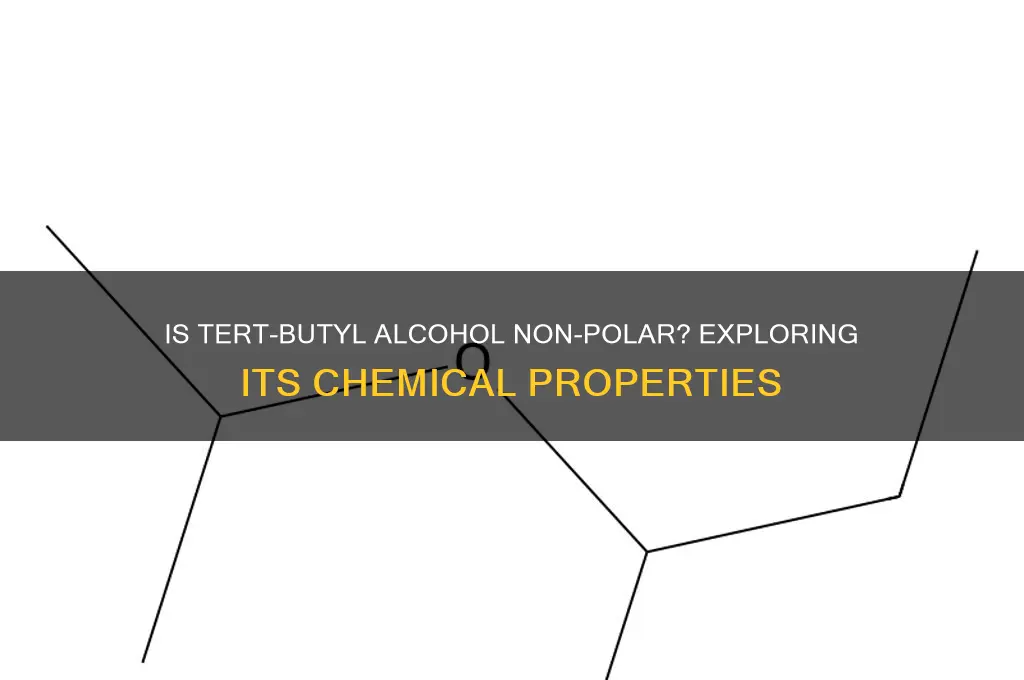 is tert butyl alcohol non polar