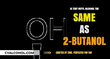 The Similarities Between Tert-Butyl Alcohol and 2-Butanol