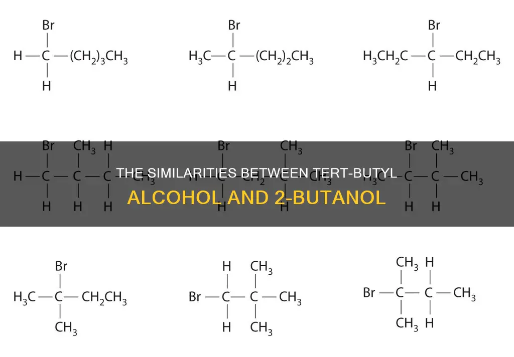 is tert butyl alcohol the same as 2-butanol